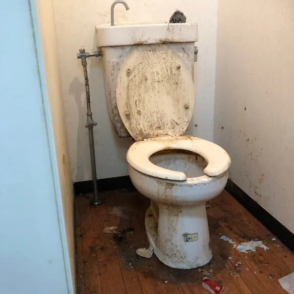 トイレ特殊清掃