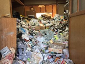 ゴミ屋敷